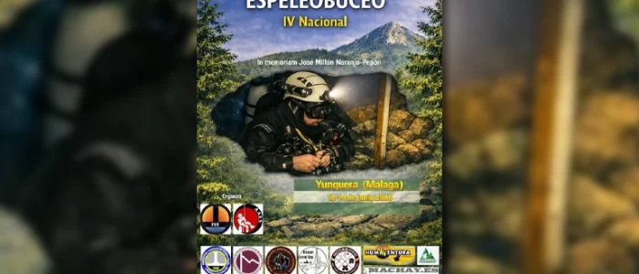 plantilla copia