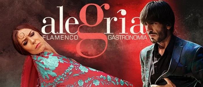plantilla copia