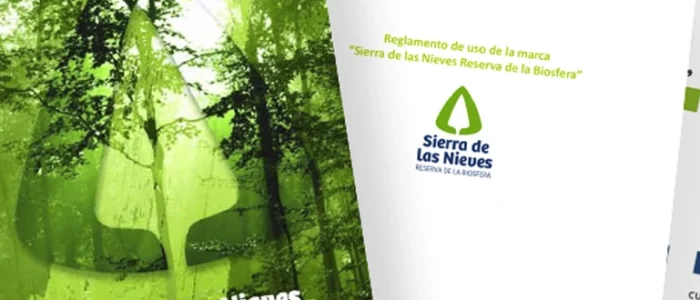 plantilla copia