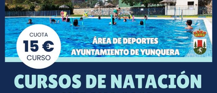 plantilla copia