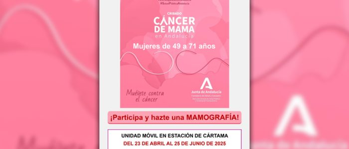 plantilla copia