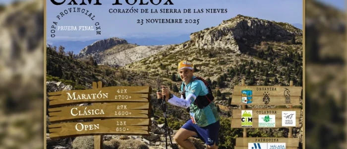plantilla copia