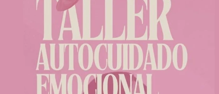 plantilla copia