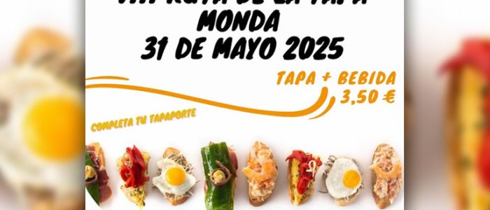 plantilla copia