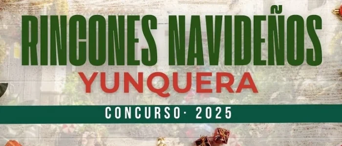 plantilla copia
