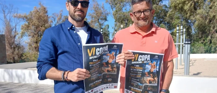 plantilla copia