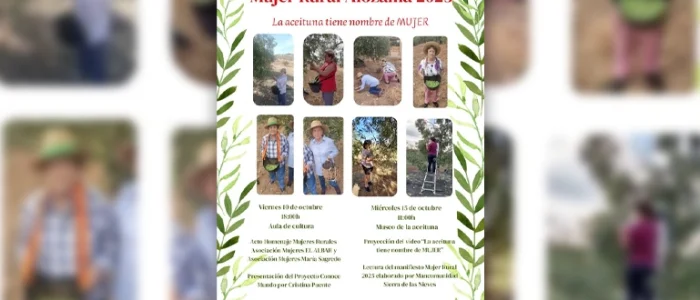 plantilla copia
