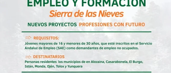 plantilla copia