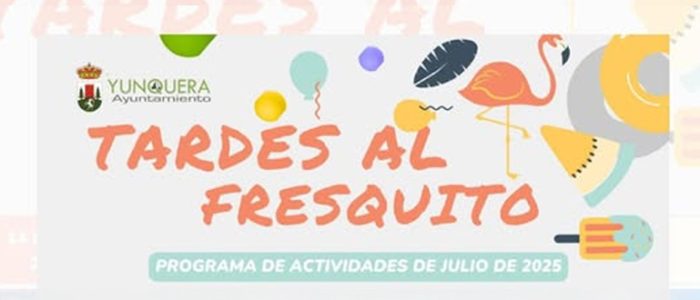 plantilla copia