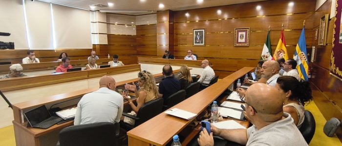 plantilla copia