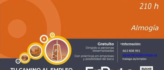 plantilla copia