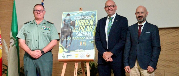 plantilla copia