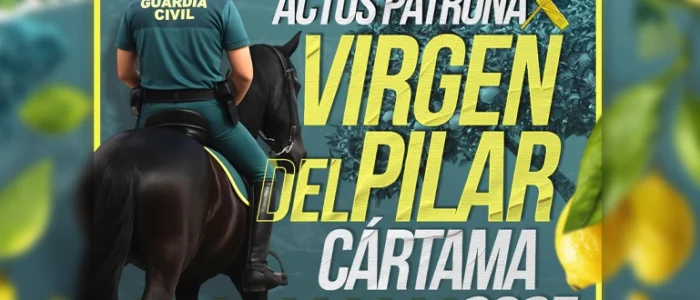 plantilla copia