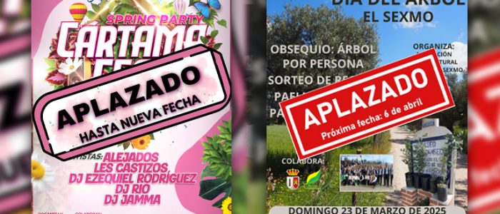 plantilla copia