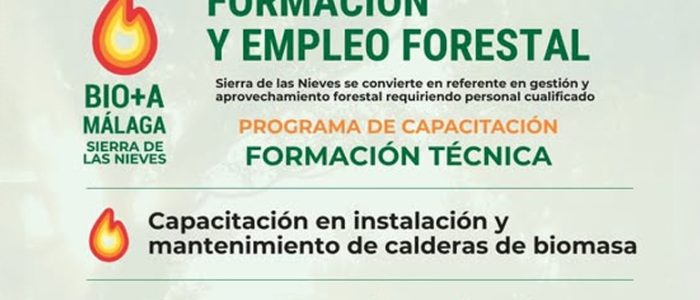 plantilla copia