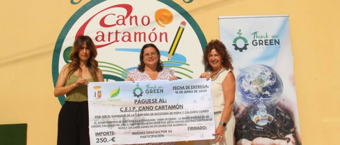 plantilla copia