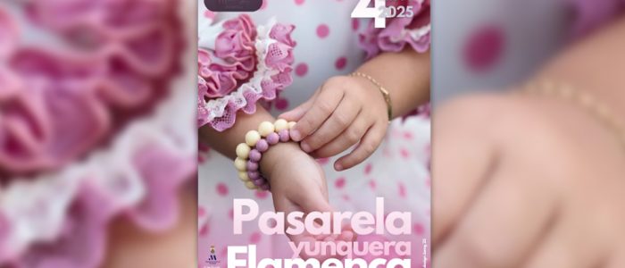 plantilla copia