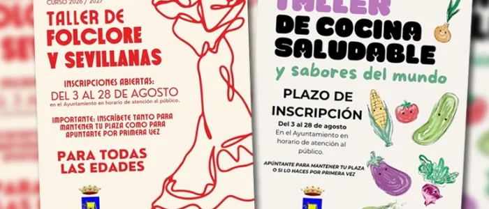 plantilla copia