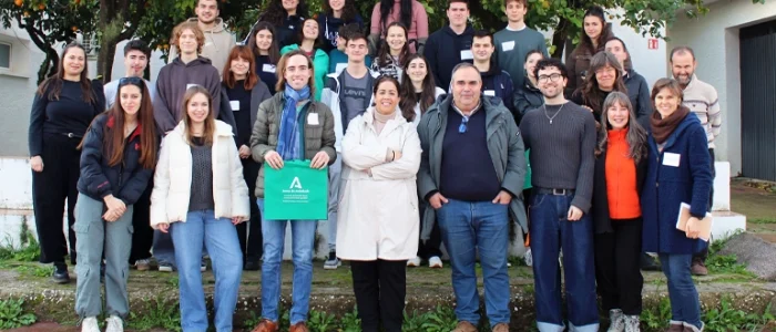 plantilla copia