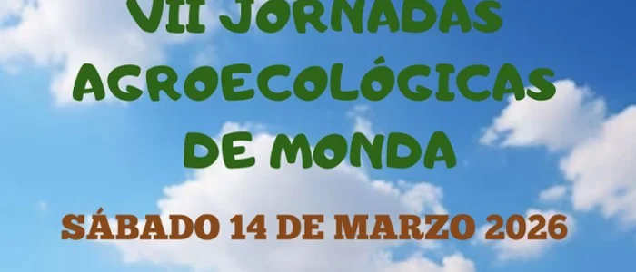 plantilla copia