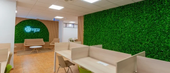 plantilla copia