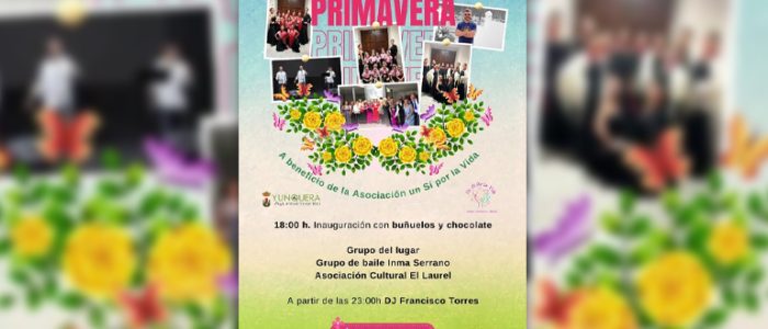 plantilla copia