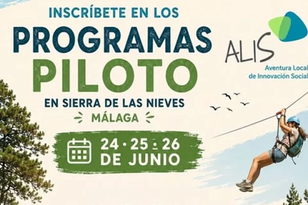 plantilla copia