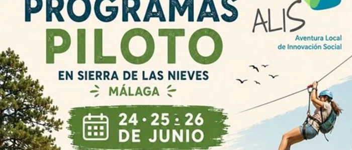 plantilla copia
