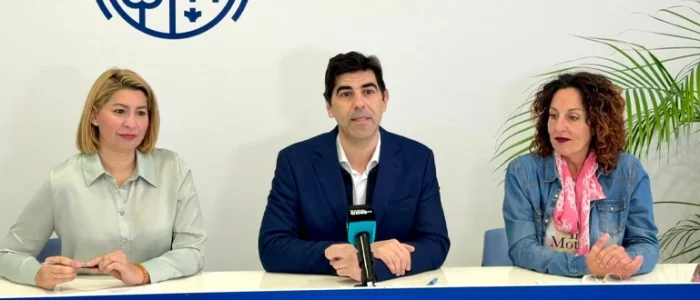 plantilla copia