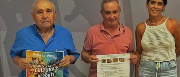 plantilla copia