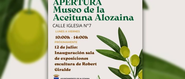 plantilla copia