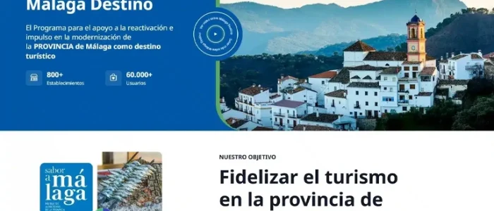 plantilla copia