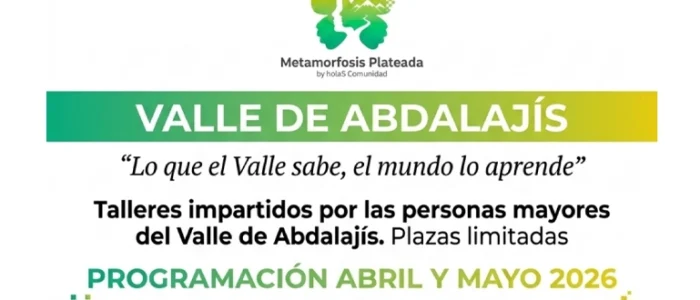 plantilla copia