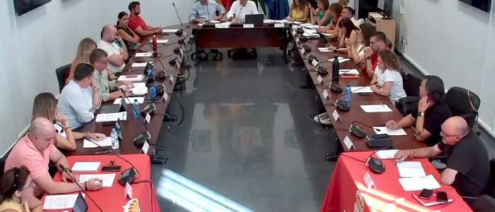 plantilla copia