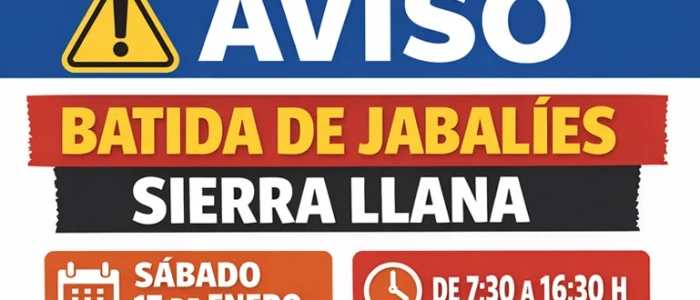 plantilla copia