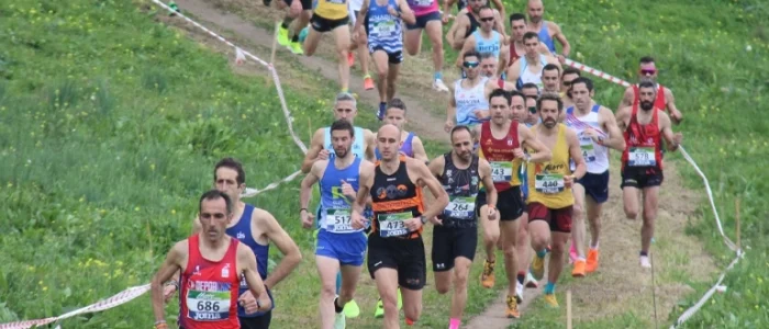 plantilla copia