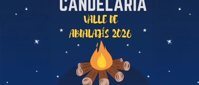 plantilla copia