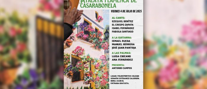 plantilla copia