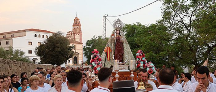 plantilla copia