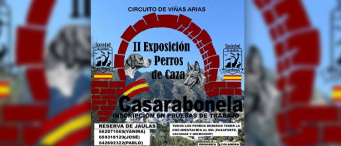 plantilla copia