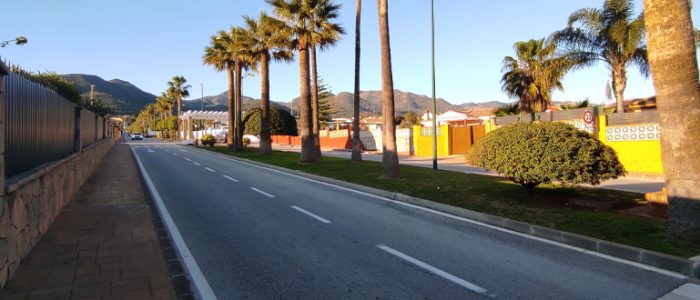 plantilla copia