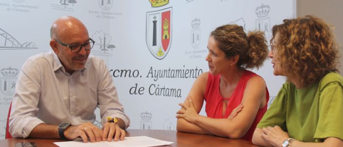 plantilla copia