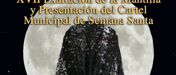 plantilla copia