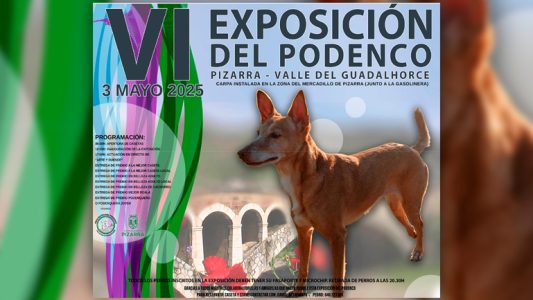 plantilla copia
