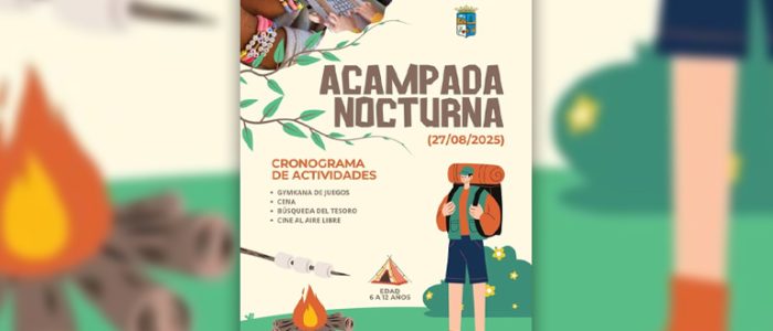 plantilla copia