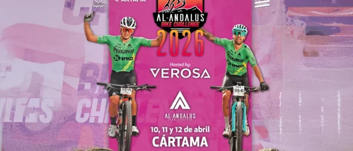 plantilla copia