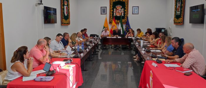 plantilla copia