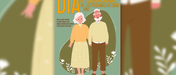 plantilla copia