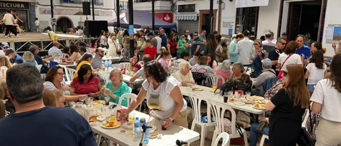 plantilla copia