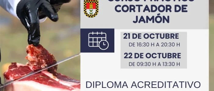 plantilla copia
